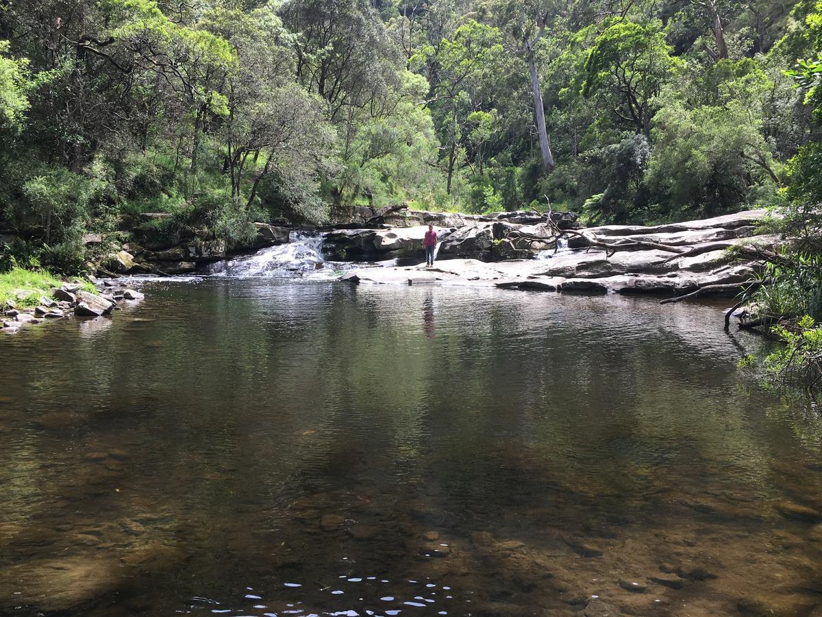 Cumberland River Holiday Park Lorne Kültér fotó